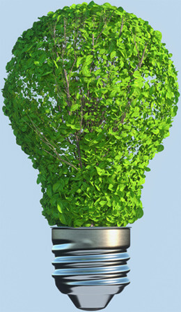 ecology